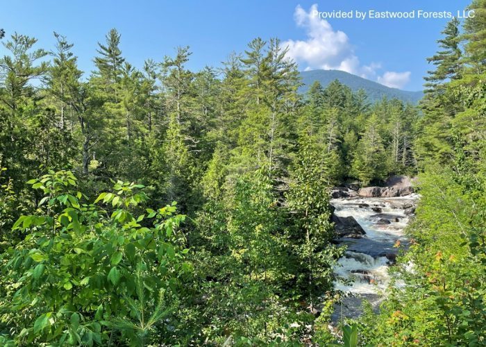 Eastwood Climate Smart Forestry Fund I
